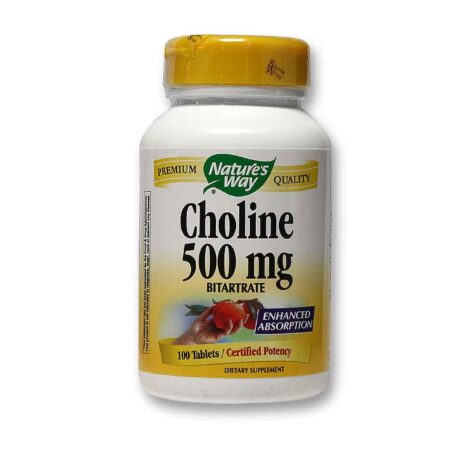 Nature's Way, Colina 500 mg - 100 Tabletes