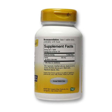 Nature's Way, Colina 500 mg - 100 Tabletes - Image 2