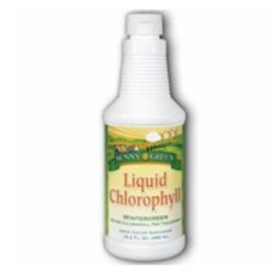 Sunny Green Clorofila Líquida Wintergreen 473ml - Purificação e Bem-Estar