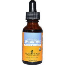 Erva Pharm Extrato de Spilanthes (Acmella oleracea) - 30ml (1 fl oz) - Bem-Estar Natural