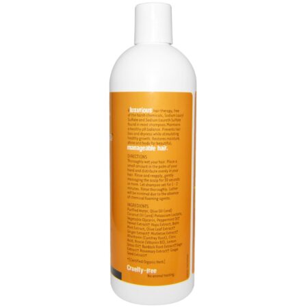 Organic Excellence, Shampoo Orgânico, Hortelã Selvagem - 572 ml (16 fl oz) - Image 2