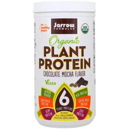 Jarrow Formulas Orgânico Plant Proteína, Mocha de chocolate - 16 oz