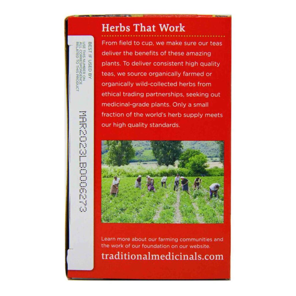 Chá Equinácea Plus® Sabugueiro Traditional Medicinals - 16 Sachês de Bem-Estar - Imagem 2