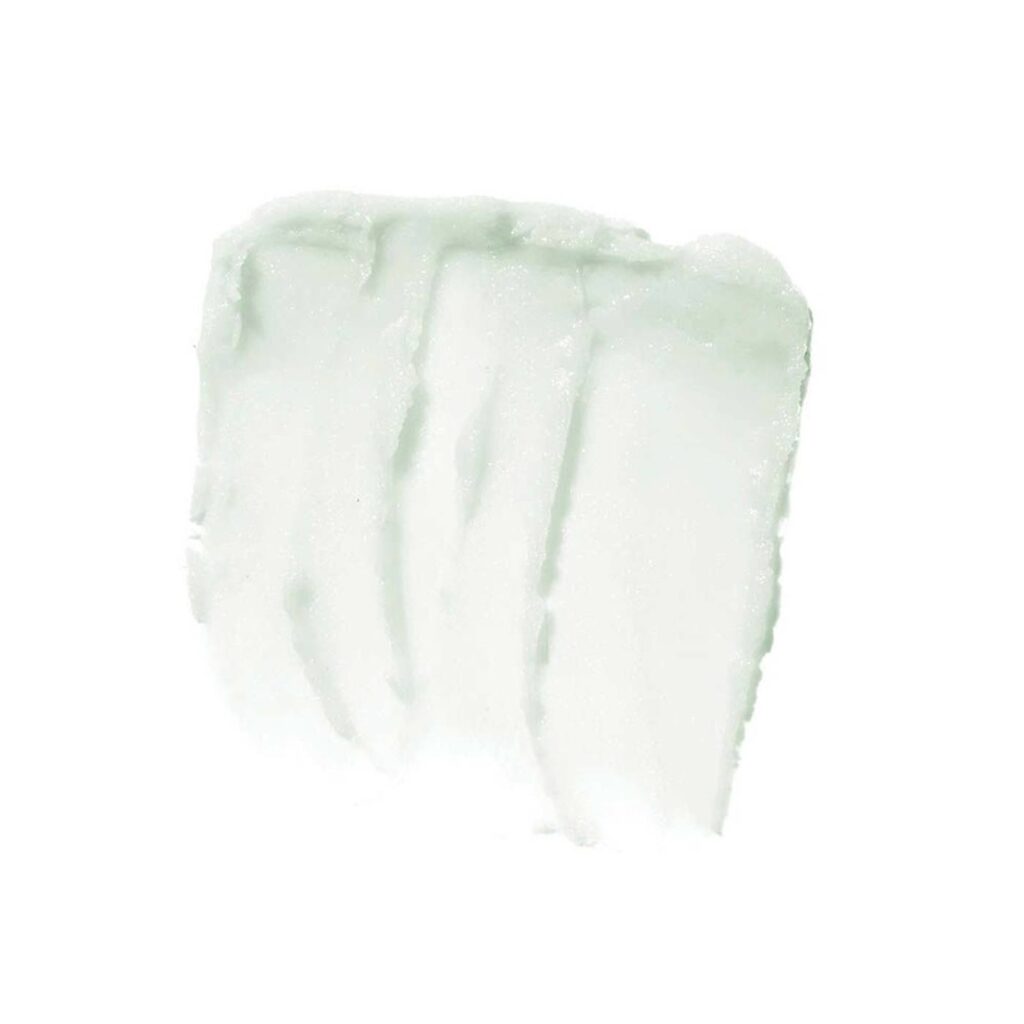 ELF Esfoliante Labial Menta - 3.1g: Renovação e Hidratação Profunda - Imagem 2