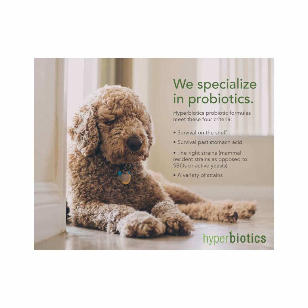 Hyperbiotics PRO-Pets: Probiótico Cães e Gatos 60 Microcápsulas para Saúde Digestiva - Imagem 6