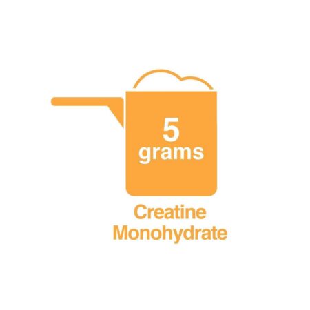 Eniva Creatine Monohydrate Micronized Powder - 22.2 oz - Image 5