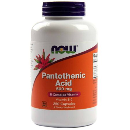 Now Foods, Ácido Pantotênico 500 mg - 250 Cápsulas