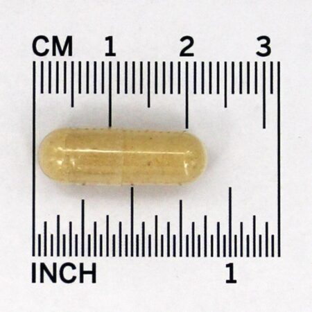 Shatavari Hormonal Balance - Cápsulas vegetarianas 90 Organic India - Imagem 4