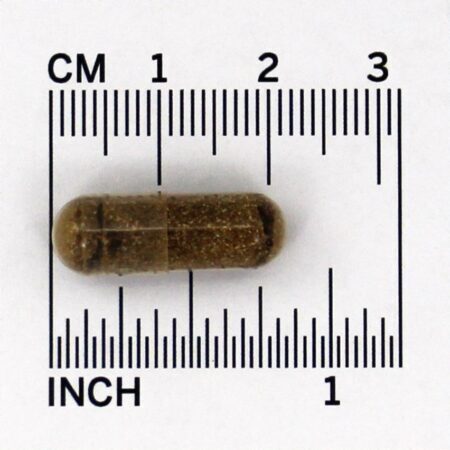 Guggul para Manutenção do Colesterol - Cápsulas vegetarianas 60 Himalaya Herbal Healthcare - Imagem 5