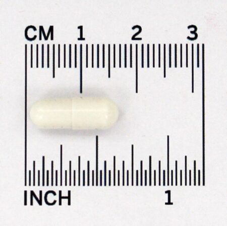 Digestive Advantage Fórmula de Defesa Contra a Lactose - Cápsulas 32 Schiff - Image 5