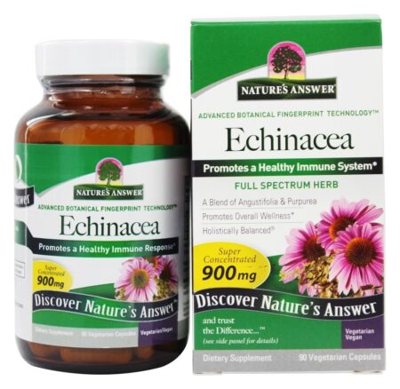 Suplemento de erva única orgânico raiz de Echinacea - Cápsulas vegetarianas 90 Nature's Answer