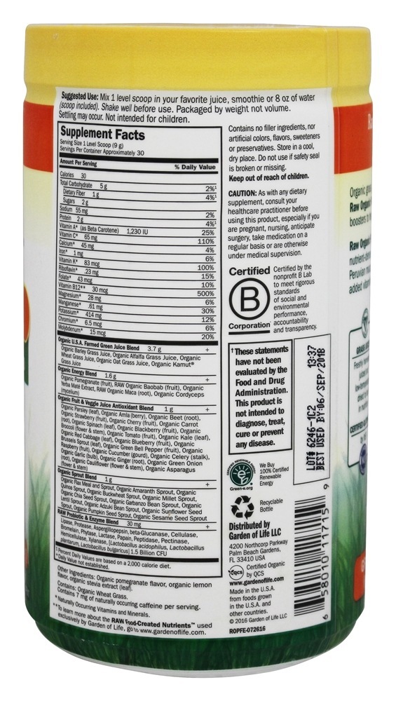 Cru Orgânico Perfeito Comida Energizer Romã- Yerba Companheiro - 9.8 oz. Garden of Life - Imagem 2