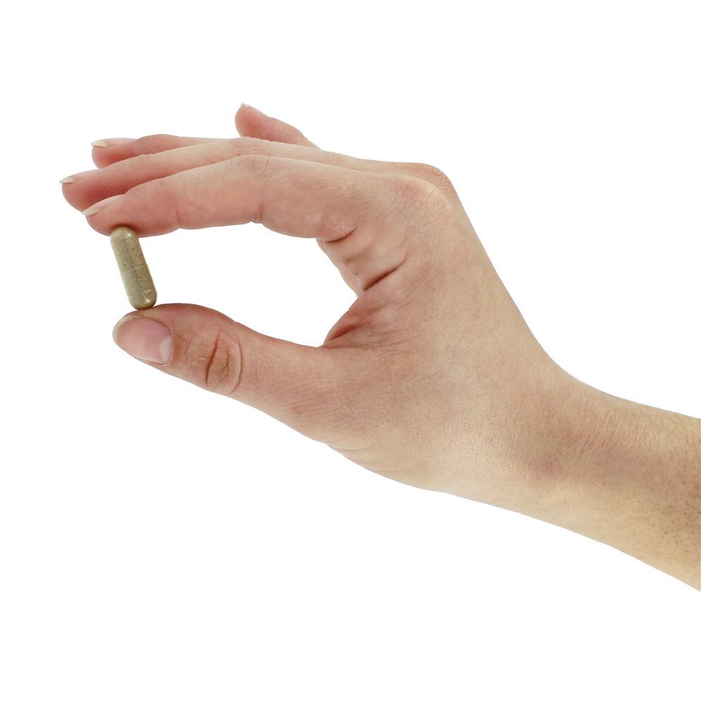 Melhoria Respiratória Natural Respiração - Cápsulas vegetarianas 90 NU Century Herbs - Imagem 5