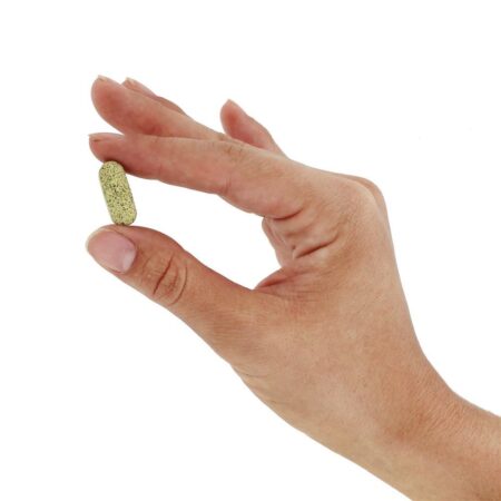 Extrato de melão amargo selvagem - 60 Tablets Jarrow Formulas - Imagem 5