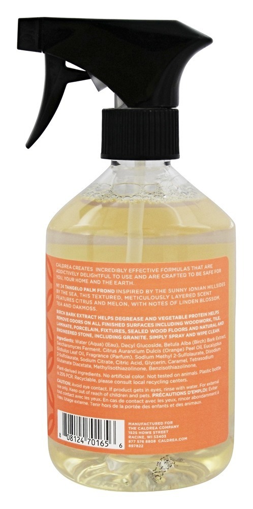 Bancada Spray Tangelo Palma Fronda - 16 fl. oz. Caldrea - Imagem 2