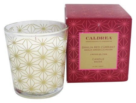 Dália de vela groselha - 8.1 oz. Caldrea