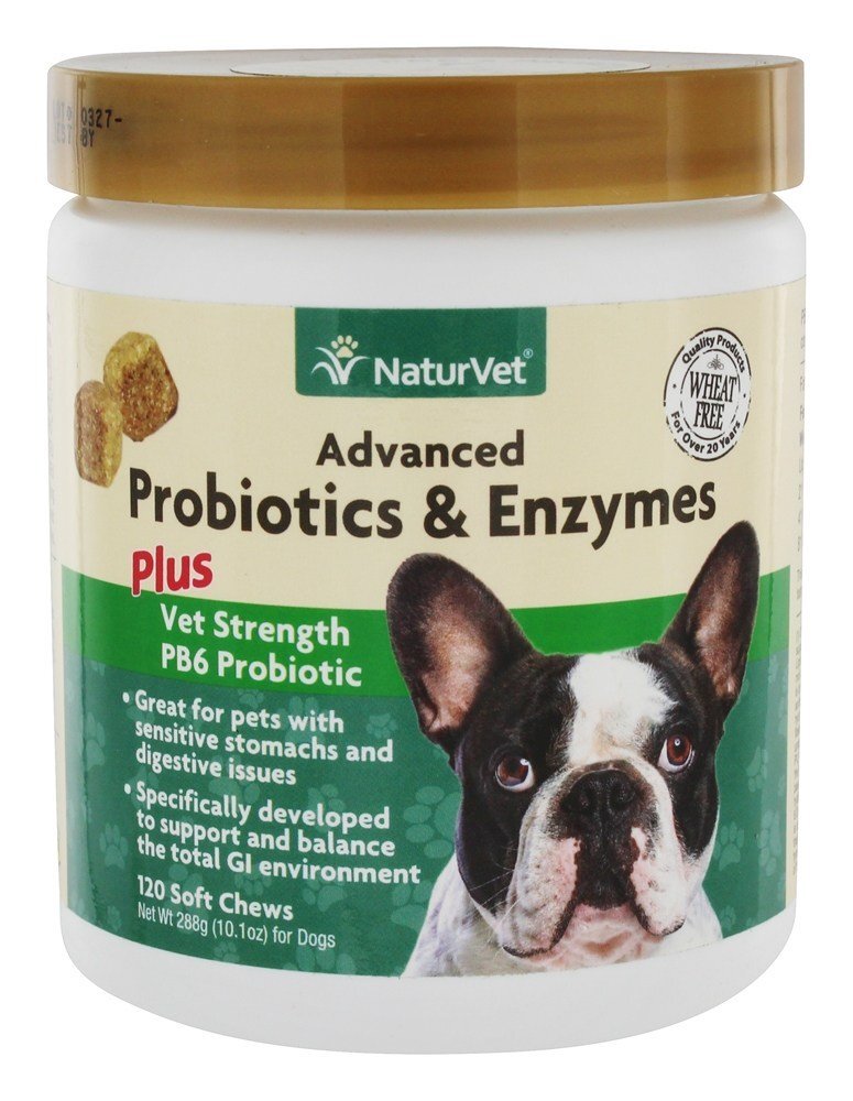 Probióticos avançados e enzimas para cães - 120 mastigação suave NaturVet