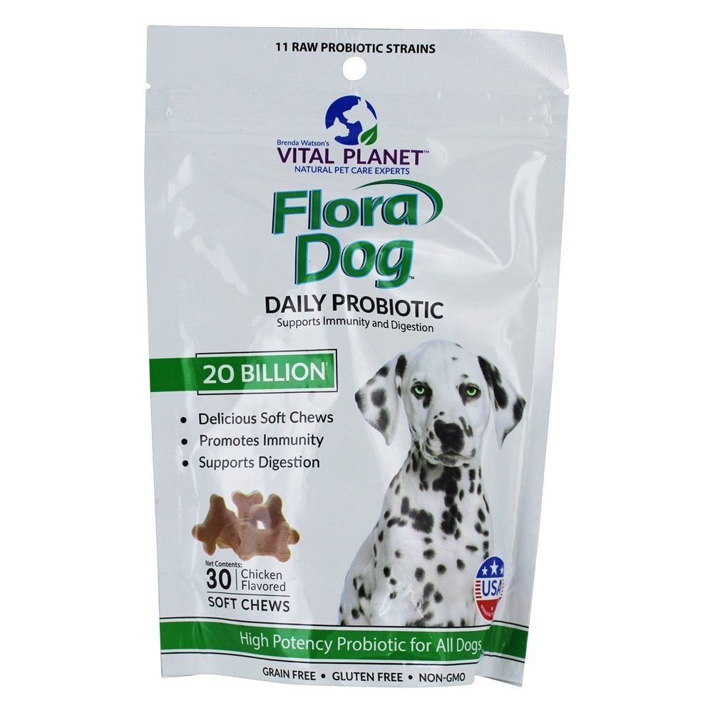 Flora Frango Probiótico Diário de Cachorro 20 Bilhões de UFC - 30 mastigação suave Vital Planet