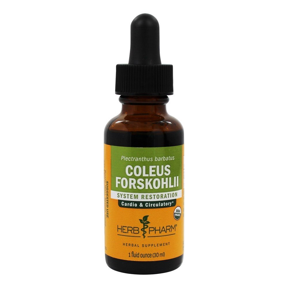 Extracto Líquido Coleus Forskohlii para Restauração Cardio e Sistema Circulatório - 1 fl. oz. Herb Pharm