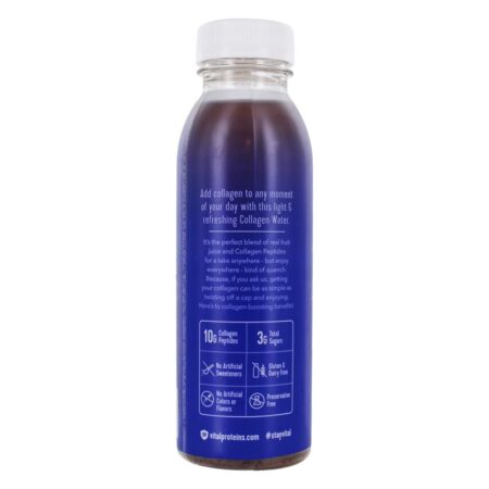 Hortelã de mirtilo de água de colágeno - 12 fl. oz. Vital Proteins - Image 3