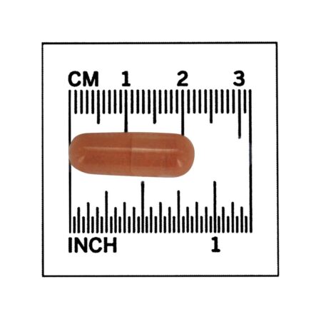 Suporte Cognitivo de Força Extra PQQ 40 mg . - 50 Cápsula (s) vegetal (s) NOW Foods - Image 4