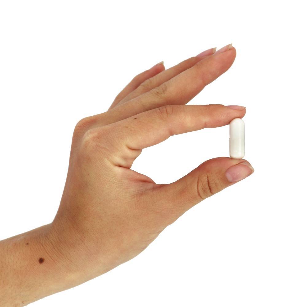 NOW Sports Creatine Monohydrate 100 % Pure Pó 750 mg . - 120 Cápsula (s) vegetal (s) NOW Foods - Imagem 5