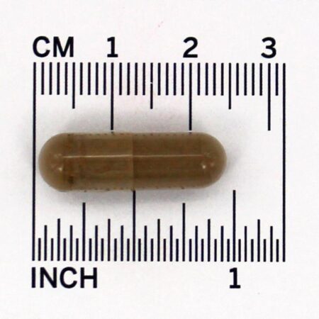 Raiz Dente-de-Leão 500 mg. - 100 Cápsula (s) vegetal (s) NOW Foods - Imagem 4