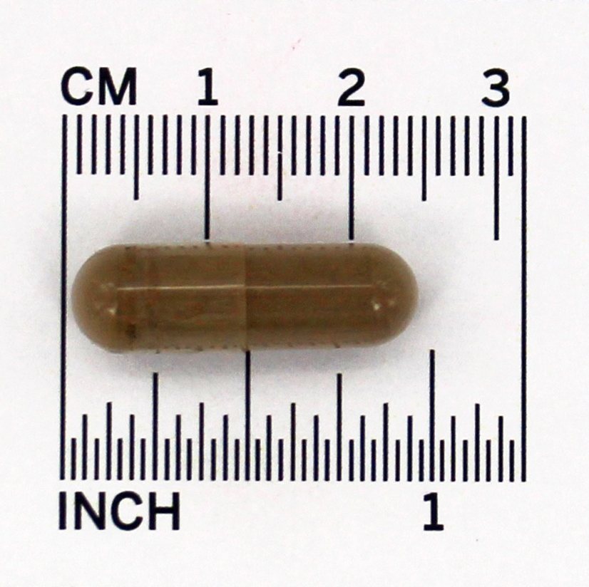 Raiz Dente-de-Leão 500 mg. - 100 Cápsula (s) vegetal (s) NOW Foods - Imagem 4