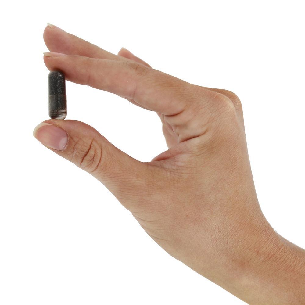Alcaçuz (DGL) 500 mg. - Cápsulas vegetarianas 60 Natures Plus - Imagem 5