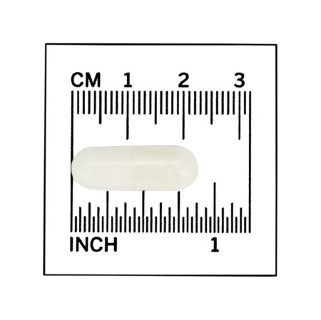 L-Carnitina 250 mg. - 60 Cápsula (s) vegetal (s) NOW Foods - Image 4