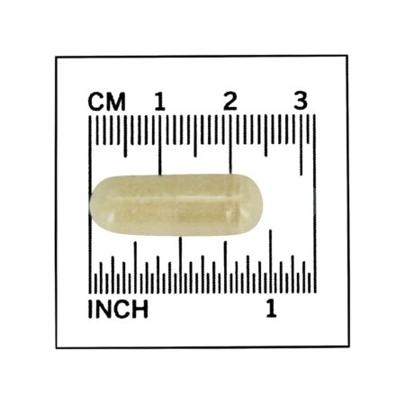 Quitosana com Cromo 500 mg. - 120 Cápsula (s) vegetal (s) NOW Foods - Image 4