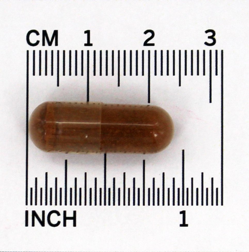 Casca de Canela 600 mg. - 240 Cápsula (s) vegetal (s) NOW Foods - Imagem 4
