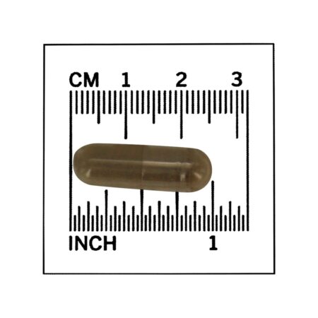 Eyebright Herb 410 mg. - 100 Cápsula (s) vegetal (s) NOW Foods - Imagem 4