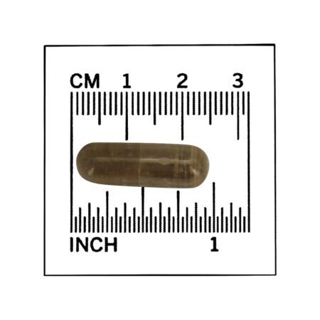 Gotu Kola 450 mg. - 100 Cápsula (s) vegetal (s) NOW Foods - Imagem 4