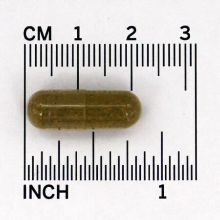 Combinação de ervas Combinação de absinto - Cápsulas 100 Kroeger Herbs - Imagem 4