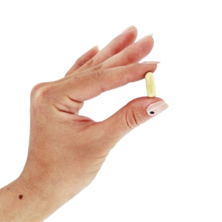 Extrato de cardo de leite padronizado thisilyn - Cápsulas vegetarianas 100 Nature's Way - Imagem 5