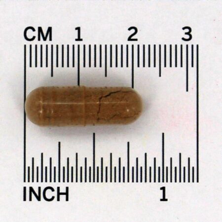 Salgueiro 400 mg. - Cápsulas vegetarianas 100 Nature's Way - Imagem 4