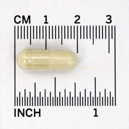 5-HTP Suporte para Neurotransmissores 50 mg. - 90 Cápsula (s) vegetal (s) NOW Foods - Image 4