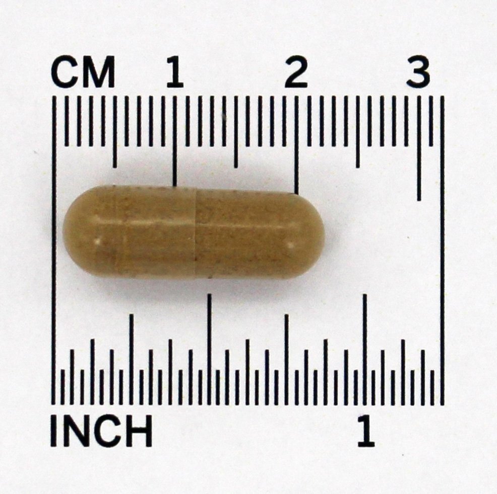 Raiz Secundária da Garra do Diabo 480 mg. - Cápsulas vegetarianas 100 Nature's Way - Imagem 4