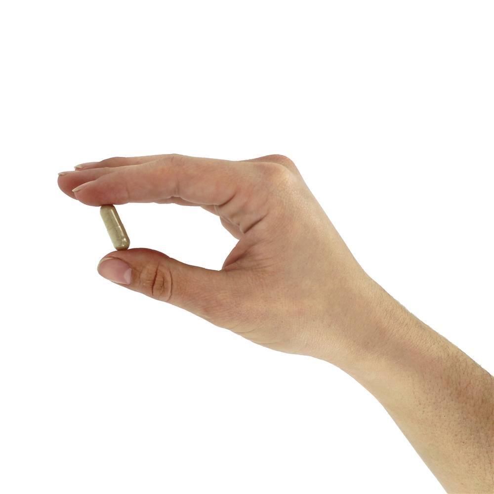 Tampão Adrenal - Cápsulas 60 Solaray - Imagem 5