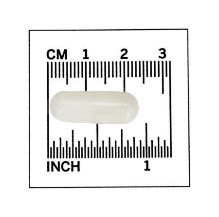 Acetil L-Carnitina 500 mg. - 50 Cápsula (s) vegetal (s) NOW Foods - Image 4