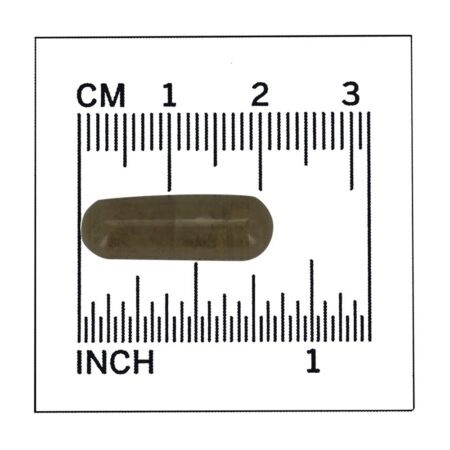 Raiz de Black Cohosh padronizada com alcaçuz e Dong Quai 80 mg . - 90 Cápsula (s) vegetal (s) NOW Foods - Imagem 4
