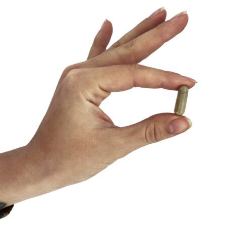 Raiz de Black Cohosh padronizada com alcaçuz e Dong Quai 80 mg . - 90 Cápsula (s) vegetal (s) NOW Foods - Imagem 5