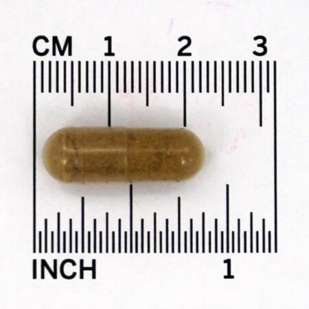 Raiz de alcaçuz 450 mg. - Cápsulas vegetarianas 100 Nature's Way - Imagem 4