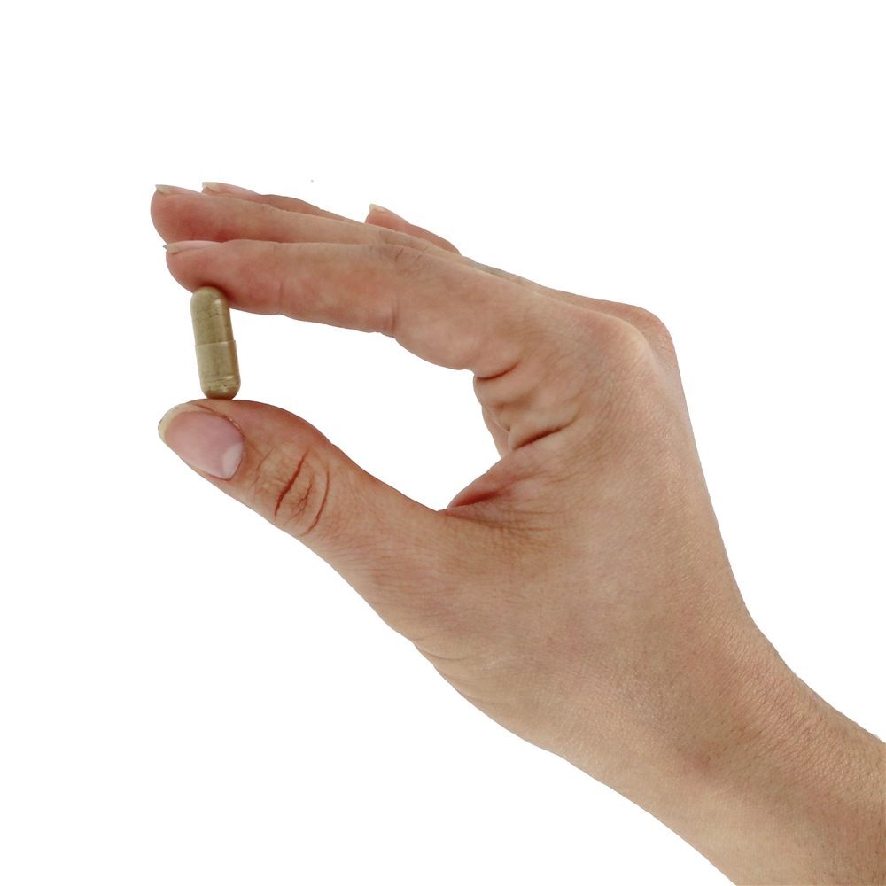 Raiz de alcaçuz 450 mg. - Cápsulas vegetarianas 100 Nature's Way - Imagem 5