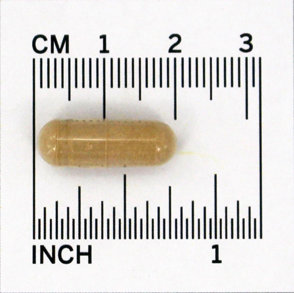 Depuradores Radicais Livres de Pycnogenol 30 mg. - 30 Cápsula (s) vegetal (s) NOW Foods - Imagem 4