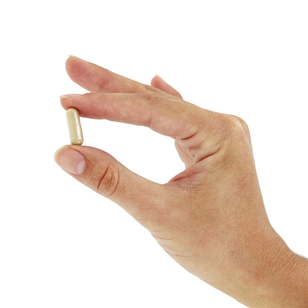 Depuradores Radicais Livres de Pycnogenol 30 mg. - 30 Cápsula (s) vegetal (s) NOW Foods - Imagem 5