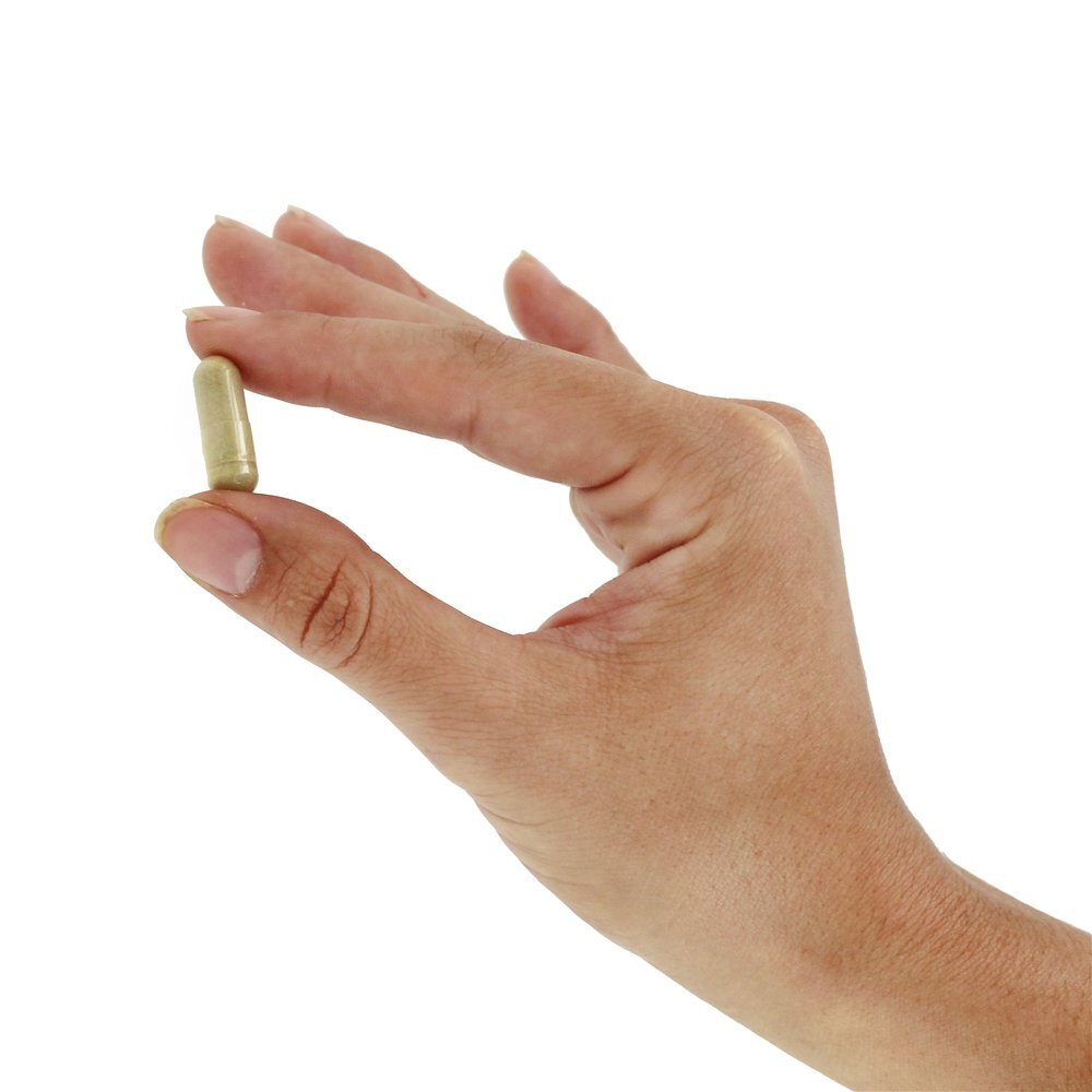 Pycnogenol Com Acerola & Rutina 60 mg. - 50 Cápsula (s) vegetal (s) NOW Foods - Imagem 5