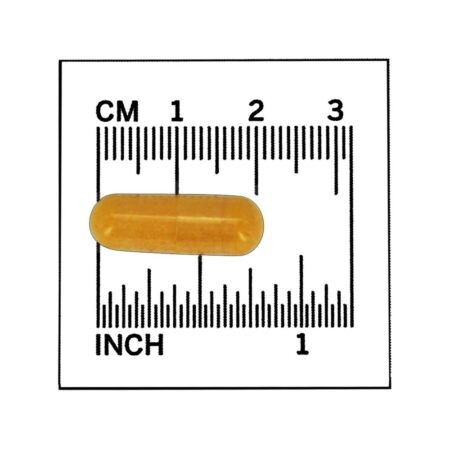 Saúde do sistema nervoso da vitamina B50 - 100 Cápsula (s) vegetal (s) NOW Foods - Image 4