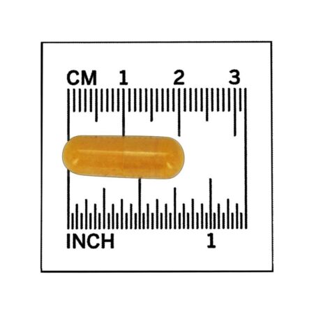 Saúde do sistema nervoso da vitamina B50 - 100 Cápsula (s) vegetal (s) NOW Foods - Imagem 4